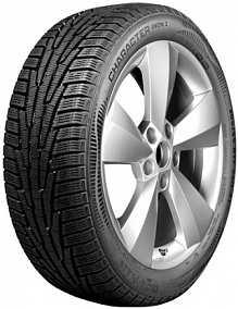 Ikon Character Snow 2 205/55 R17 95H